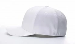 Richardson 487 FlexFit Official's Cap -Cheap Baseball Store 487 SIDE 82494.1596127500