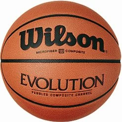 Wilson Evolution Indoor Basketball